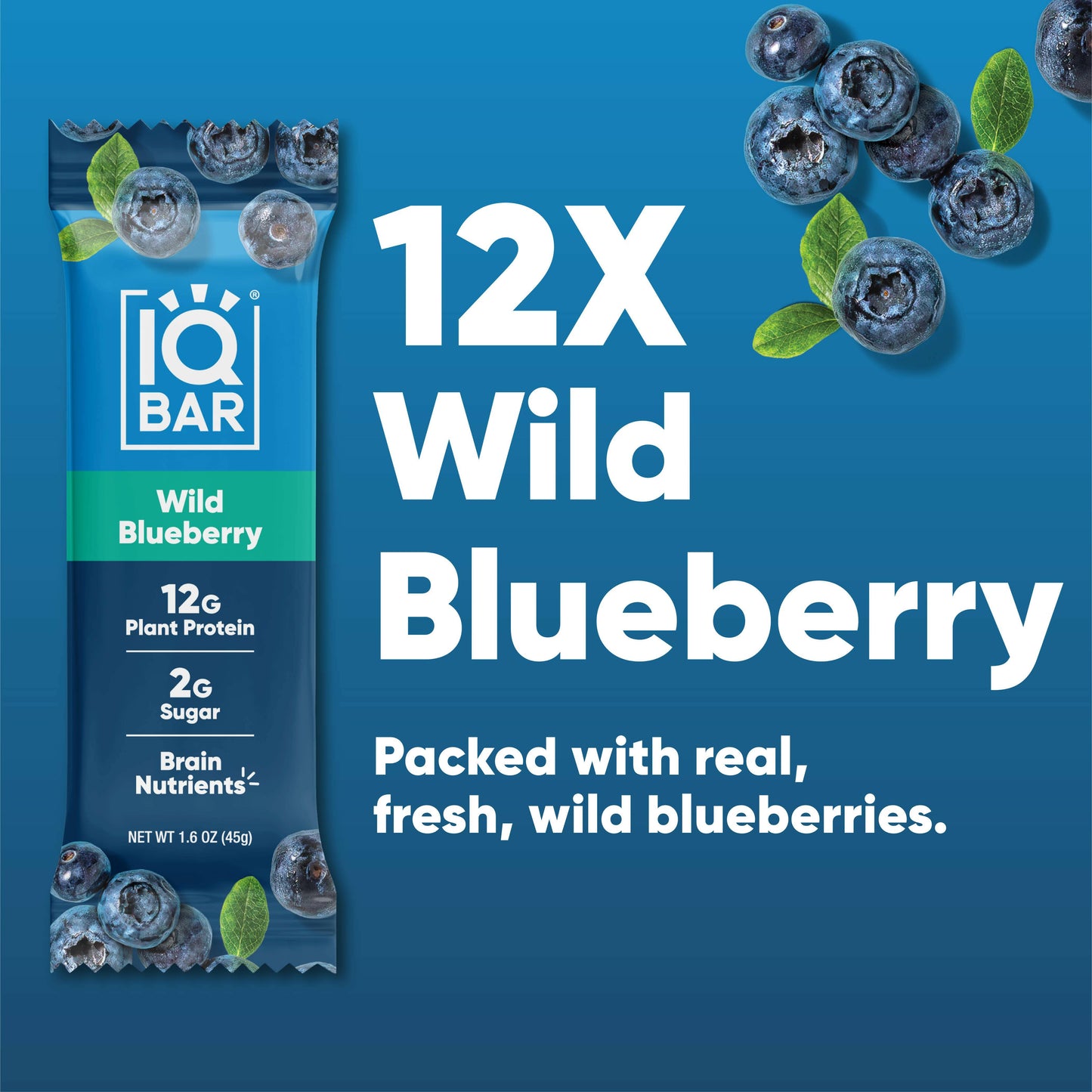 Wild Blueberry | Brain + Body Keto Protein Bars.