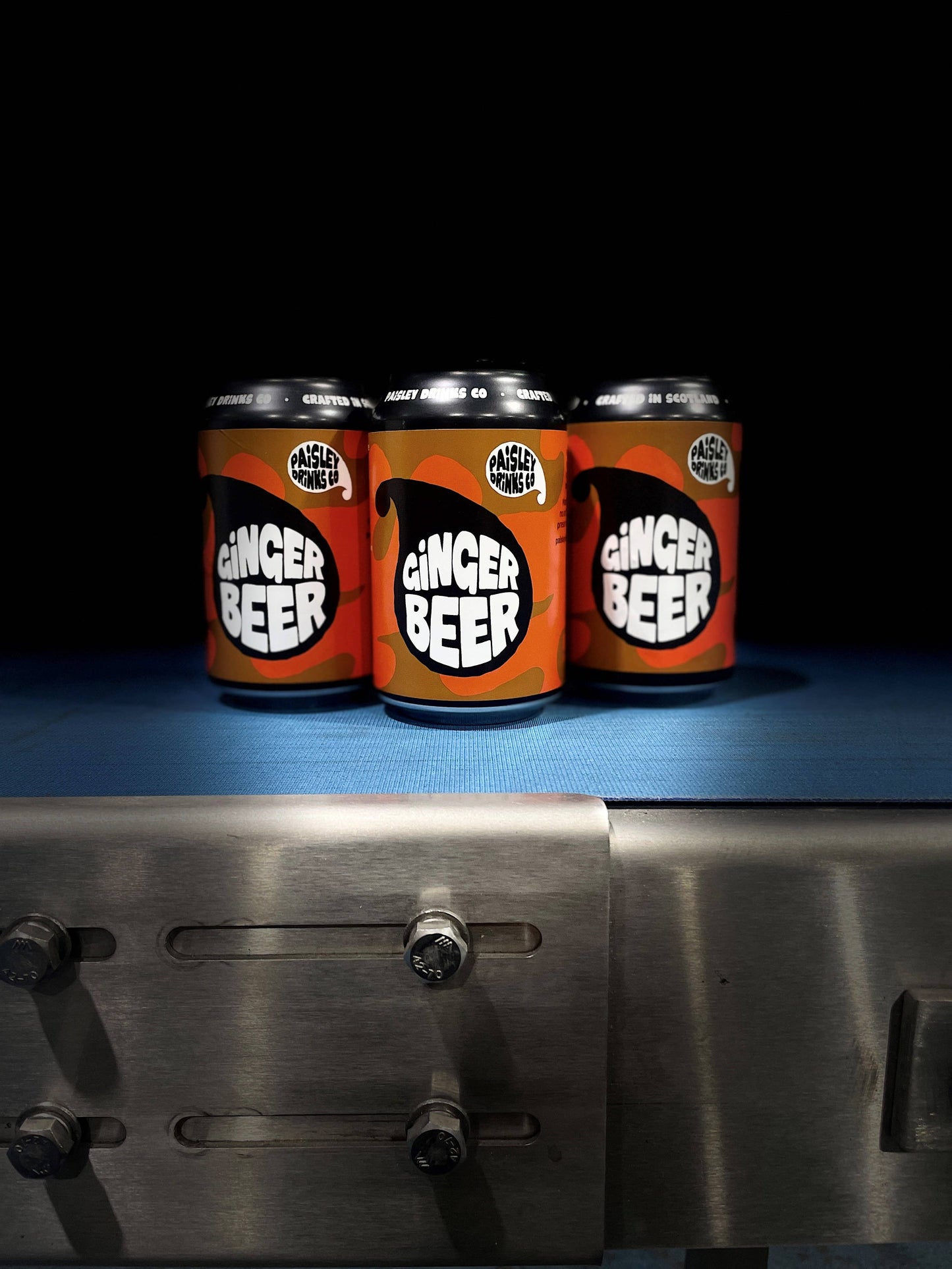 Ginger Beer - Craft Soda - Vegan - Zenvitaz