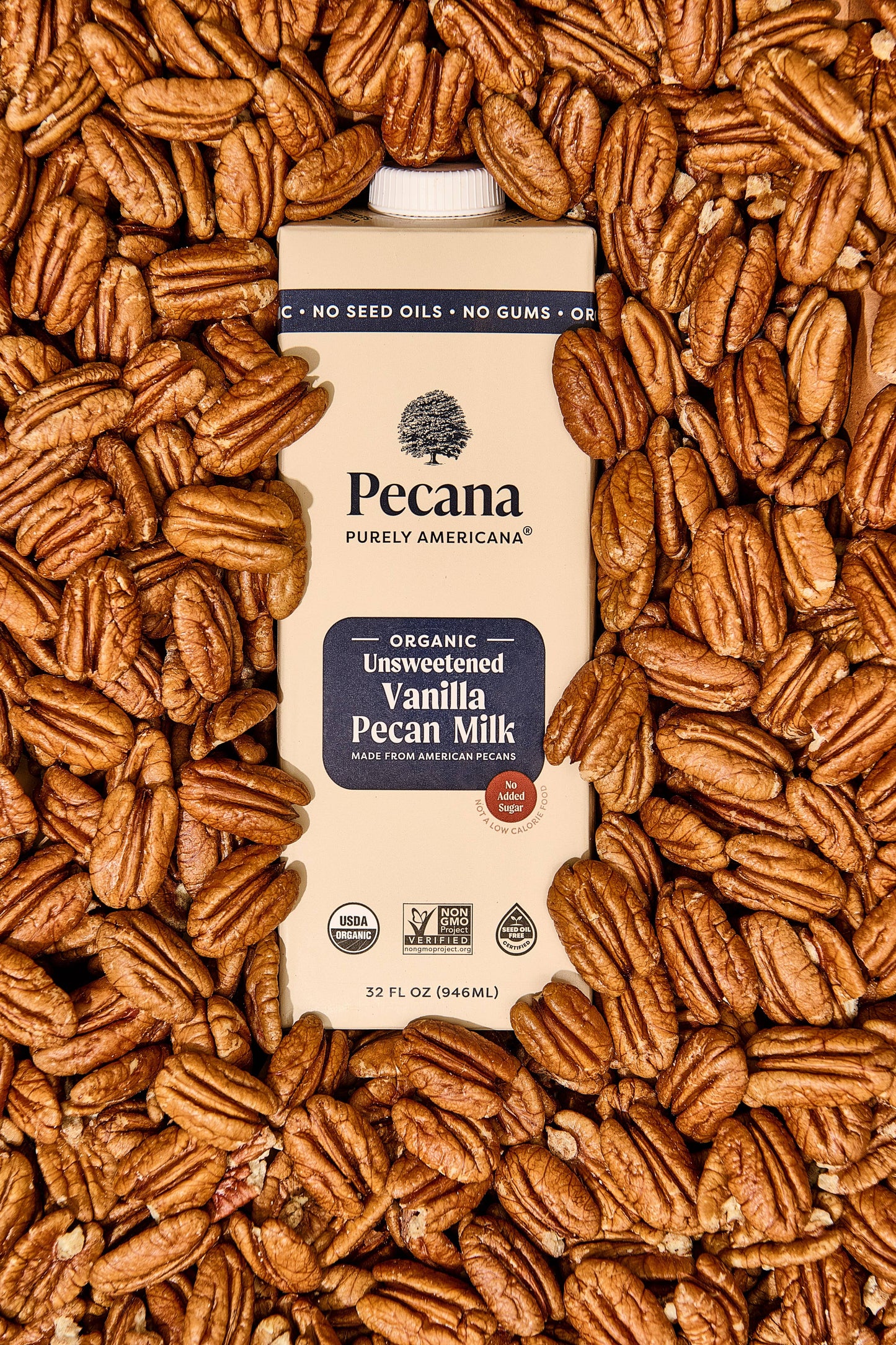 Organic Unsweetened Vanilla Pecan Milk