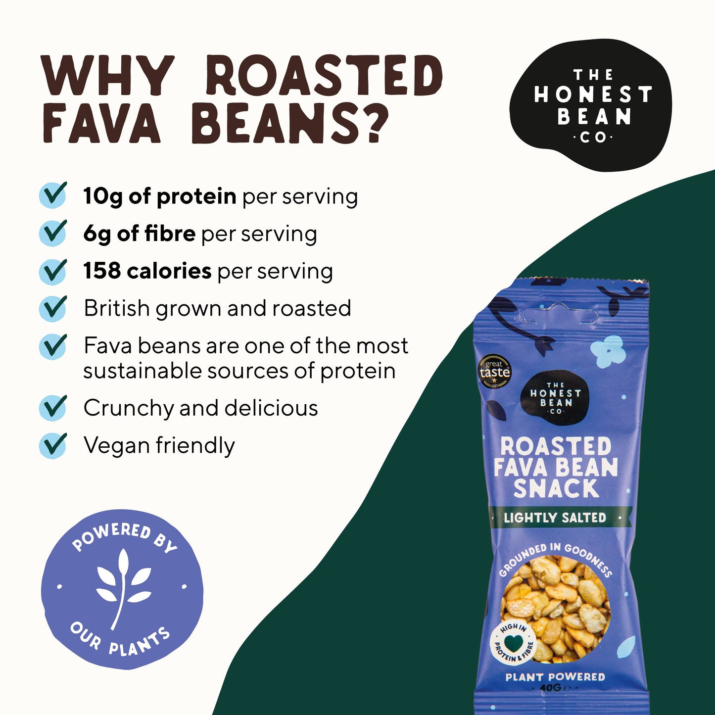 Roasted Fava Beans 'Lightly Salted' - Zenvitaz