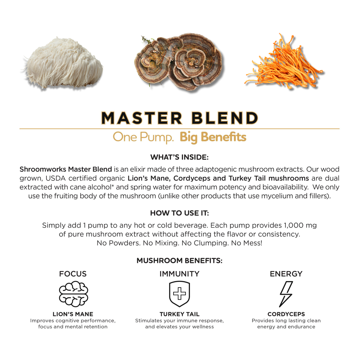 Mushroom Coffee Barista Pump – Energy, Focus & Immunity Boost
