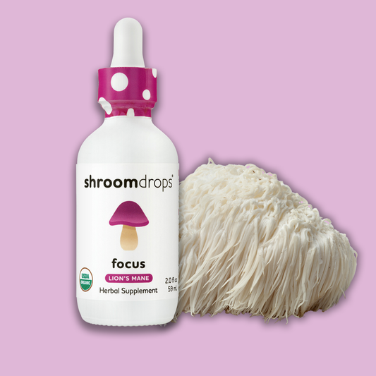 Organic Lion’s Mane Mushroom Tincture | Focus & Brain Support | Drops