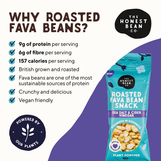 Roasted Fava Beans 'Sea Salt & Cider Vinegar' - Zenvitaz