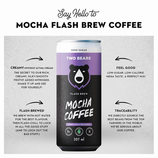 Mocha Flash Brew Coffee (207 ml) - Zenvitaz
