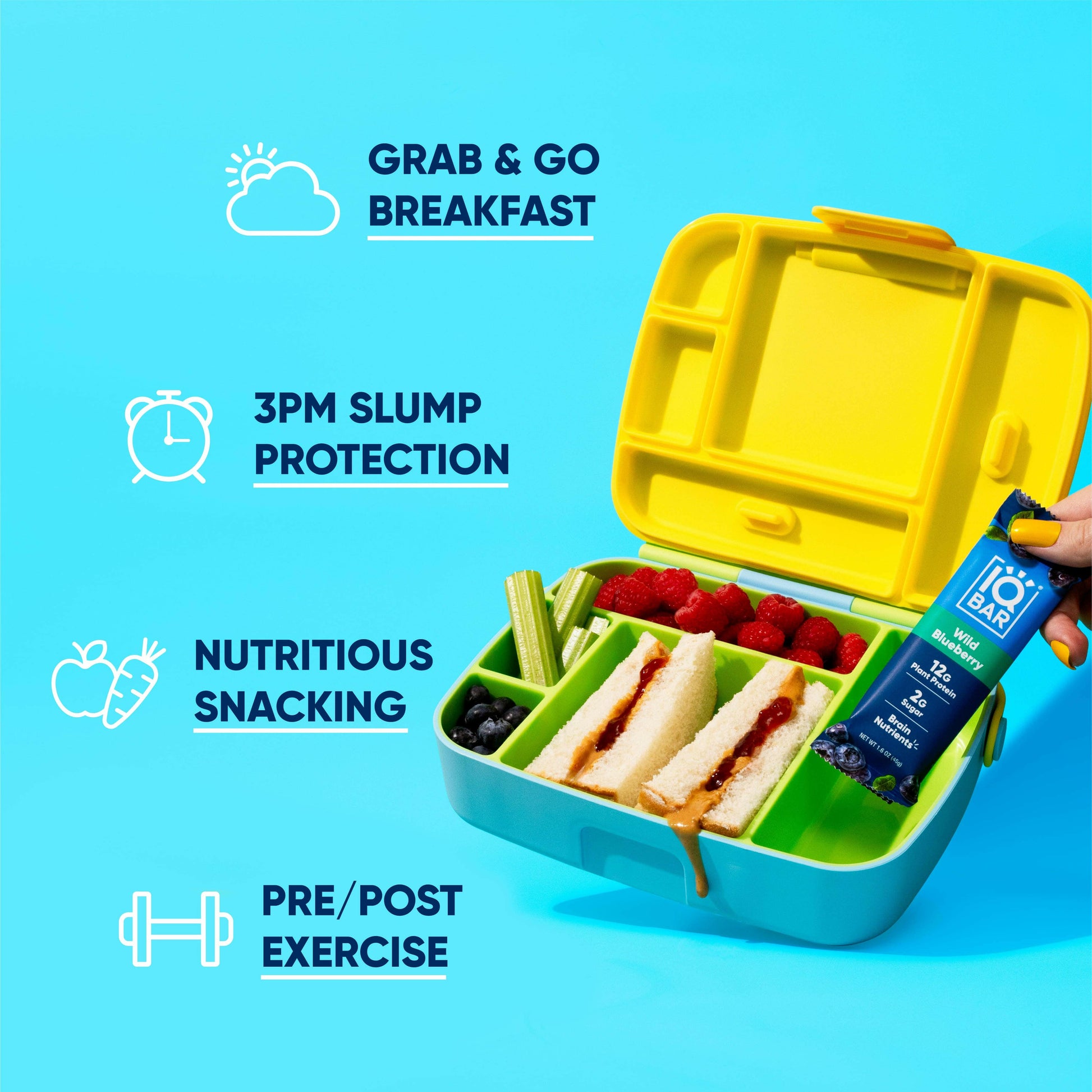 Wild Blueberry | Brain + Body Keto Protein Bars.