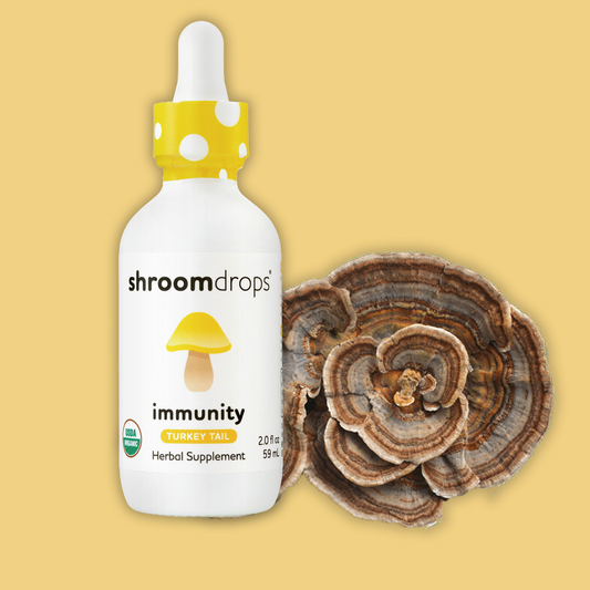 Organic Turkey Tail Mushroom Tincture | Immune & Gut Health | Drops