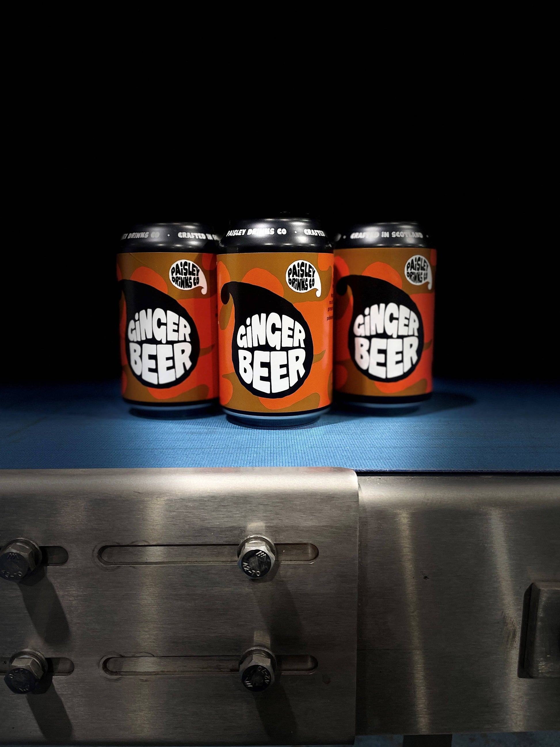 Ginger Beer - Craft Soda - Vegan - Zenvitaz