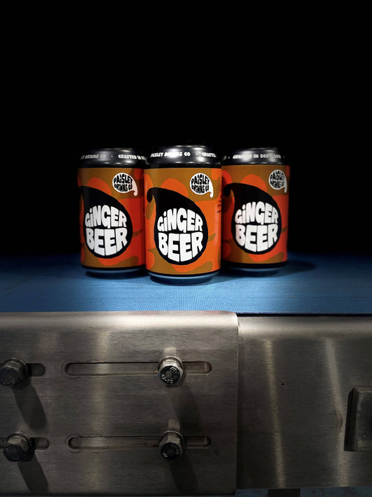 Ginger Beer - Craft Soda - Vegan - Zenvitaz